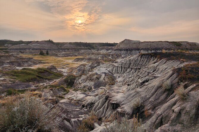 1 Day of Drumheller Dinosaurs and Badlands Guided Group Tour - A Full Breakdown of the Drumheller Dinosaur and Badlands Tour