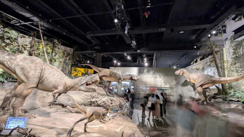 1 Day of Drumheller Dinosaurs and Badlands Guided Tour - Key Points