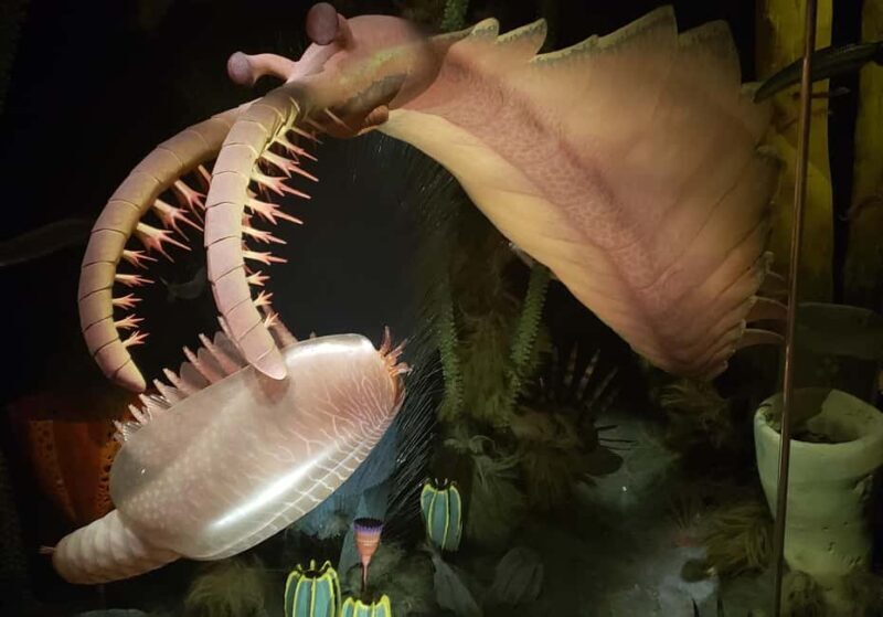 1 Day of Drumheller Dinosaurs and Badlands Guided Tour - How the Experience Comes Together