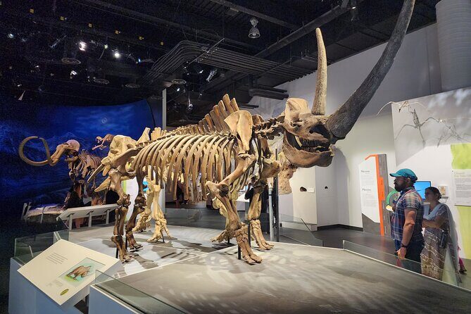 1 Day of Drumheller Dinosaurs and Badlands in Private Custom Tour - An In-Depth Look at the 1 Day of Drumheller Dinosaurs and Badlands Private Tour