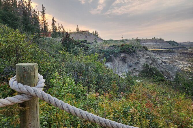 1 Day of Drumheller Dinosaurs and Badlands in Private Custom Tour - Who Should Consider This Tour?