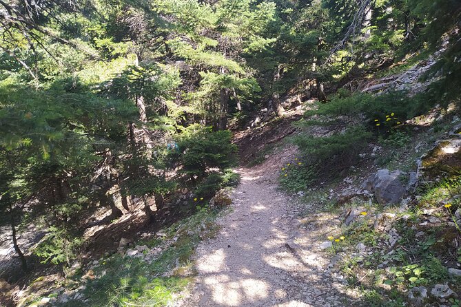 1 Day Parnitha Athens Private Hiking Tour - Testimonials and Reviews