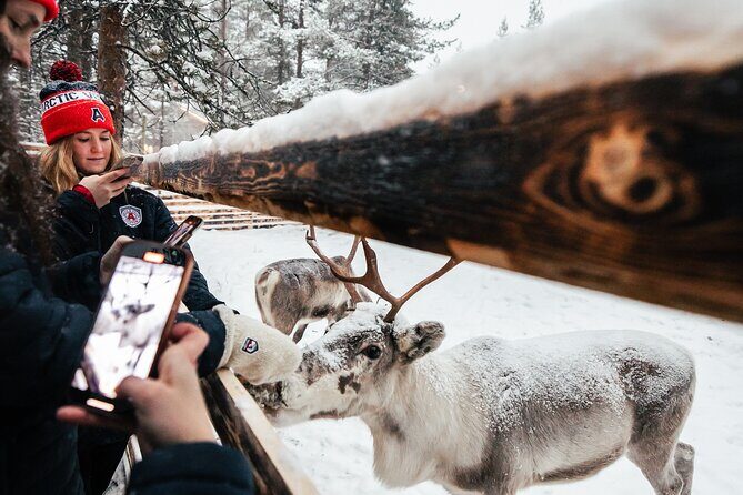 1 Day Pass Lapland Winter Park in Rovaniemi - Who Will Love This Experience?