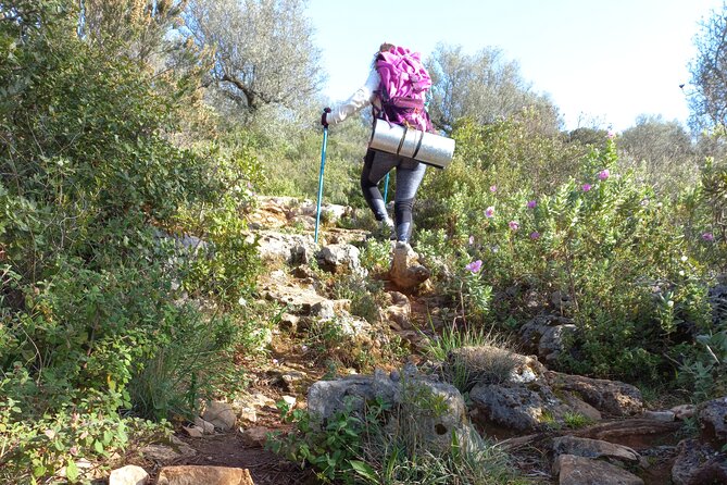 1 Day Pilgrimage Experience to Fátima - Inclusions and Exclusions