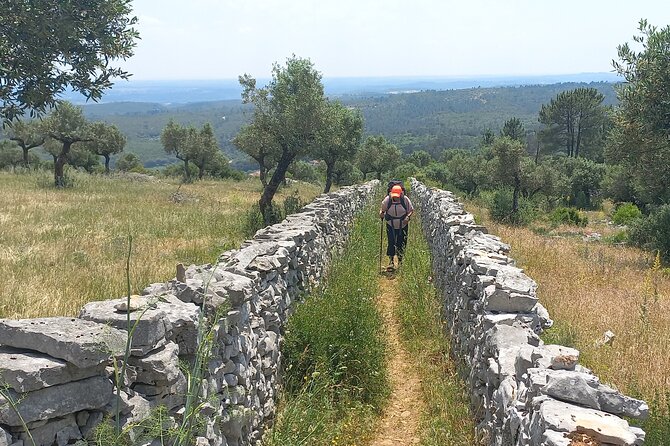1 Day Pilgrimage Experience to Fátima - Group Size and Participation