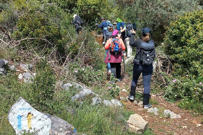 1 Day Pilgrimage Experience to Fátima - Cancellation and Confirmation