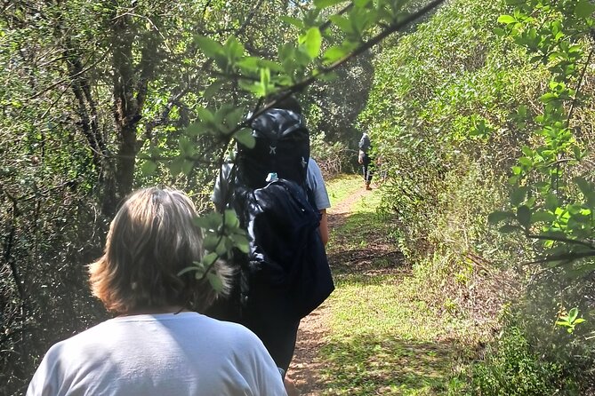 1 Day Pilgrimage Experience to Fátima - Important Notes