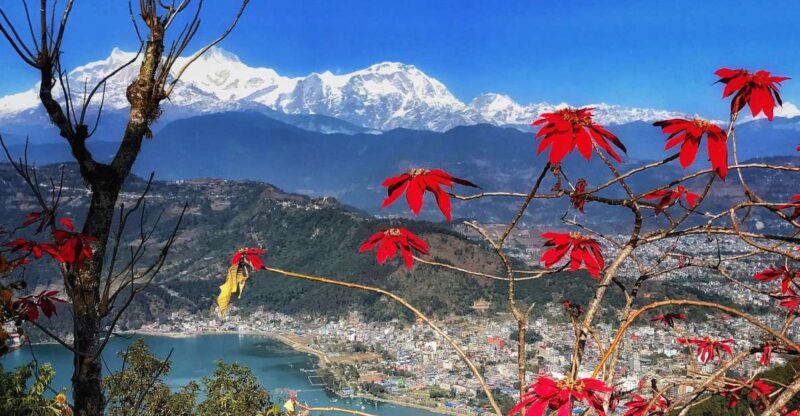 1 Day Pokhara Tour From Kathmandu by Flight - Inclusions of the Package