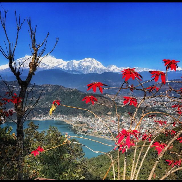 1 Day Pokhara Tour From Kathmandu by Flight - Travel Tips for Tourists