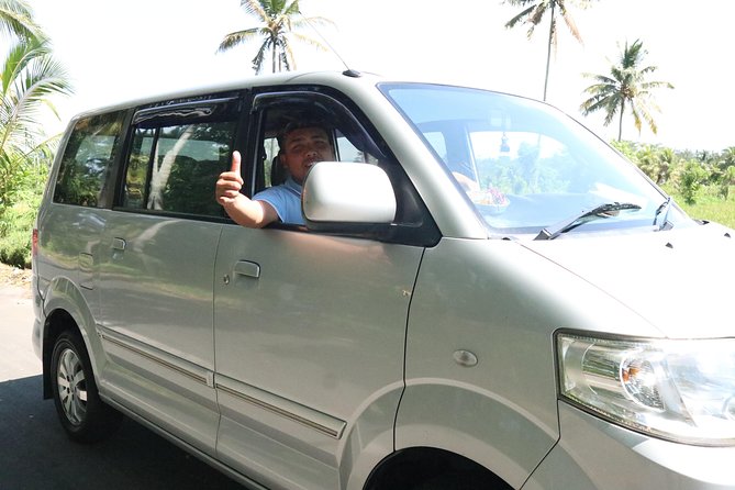 1-Day Private Bali Car Transfer With Experienced Driver - Reviews