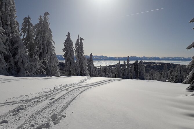 1-Day Private Snowshoe Hike in the Gorce Mountains Near Krakow - Tour Availability and Schedule