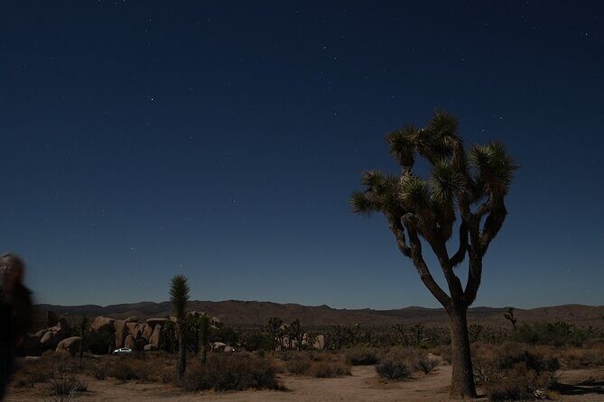 1-day Private Tour to Joshua Tree National Park from Los Angeles - Whats Included and What’s Not