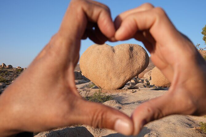 1-day Private Tour to Joshua Tree National Park from Los Angeles - Practical Considerations
