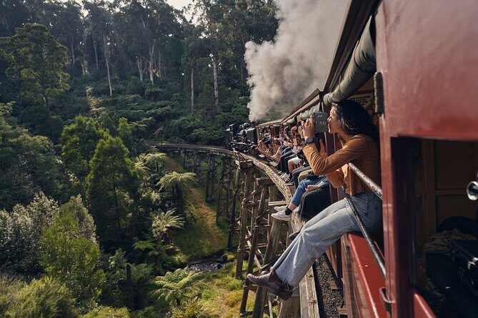 1 day Puffing Billy Steam Train and Wildlife Tour from Melbourne - An In-Depth Look at the Tour Experience
