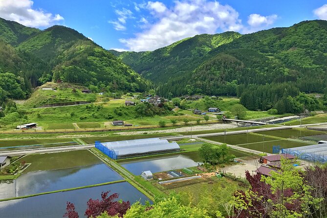 1-Day Rural E-Bike Tour in Hida - Restrictions and Additional Information