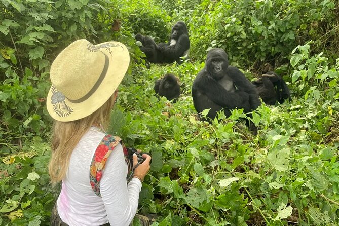 1 Day Rwanda Gorilla Trekking Tour In The Volcanoes National Park - Safety and Health Considerations
