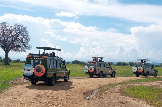 1 Day Safari to Mikumi National Park - What to Expect on the Safari