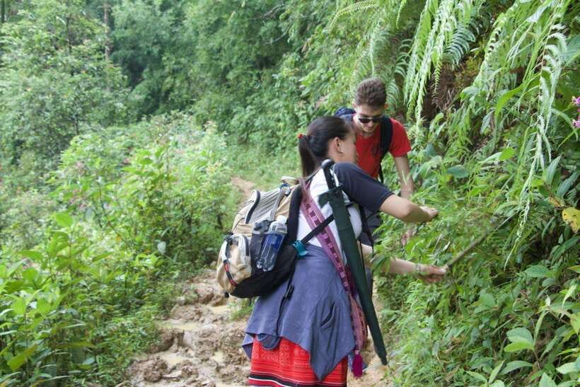 1 Day Sapa Trek&Home-cooked Lunch HmongSisterHouse&Trekking - Key Points