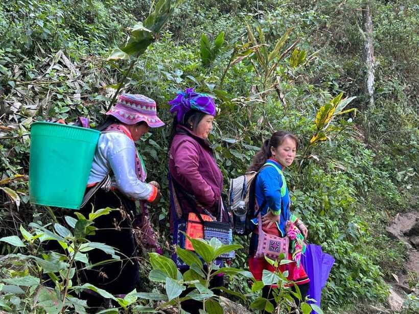 1 Day Sapa Trek&Home-cooked Lunch HmongSisterHouse&Trekking - Important Participant Information