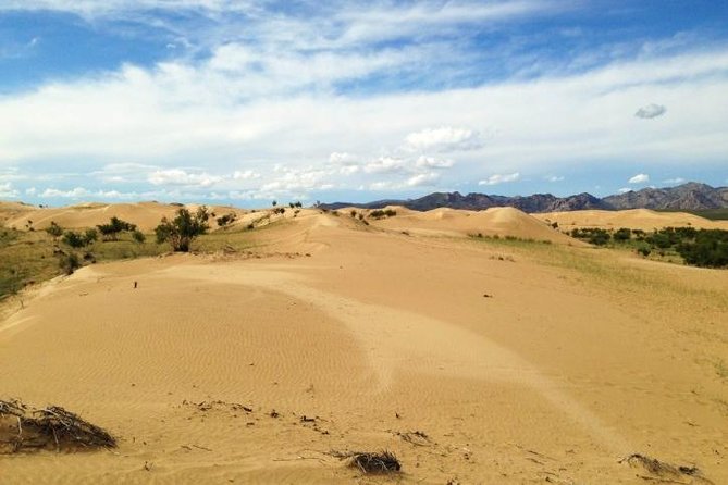 1 Day Semi-Gobi Tour Including Lunch And Free Camel +Bonus Khustai National Park - Accessibility Features