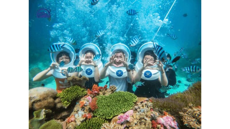 1 Day Snorkeling Tour in Cham Island Hoi An - Booking Information