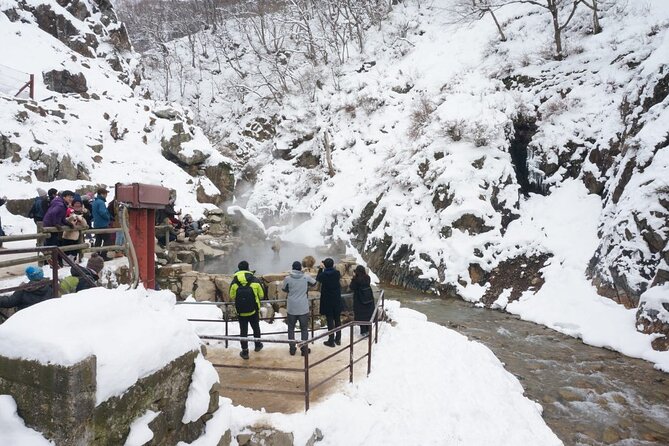 1-Day Snow Monkeys, Zenko-ji Temple & Sake in Nagano - Included Transportation and Meals