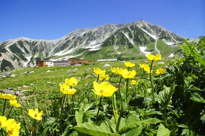 1-Day Tateyama-Kurobe Tour: Walking on the Roof of Japan - Tateyama-Kurobe Alpine Route