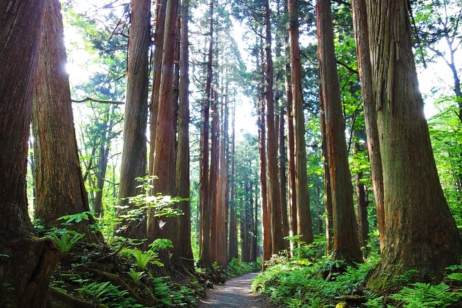 1-Day Togakushi Tour: Soba Making, Ninja Town, and Hidden Shrines - Soba Making Experience