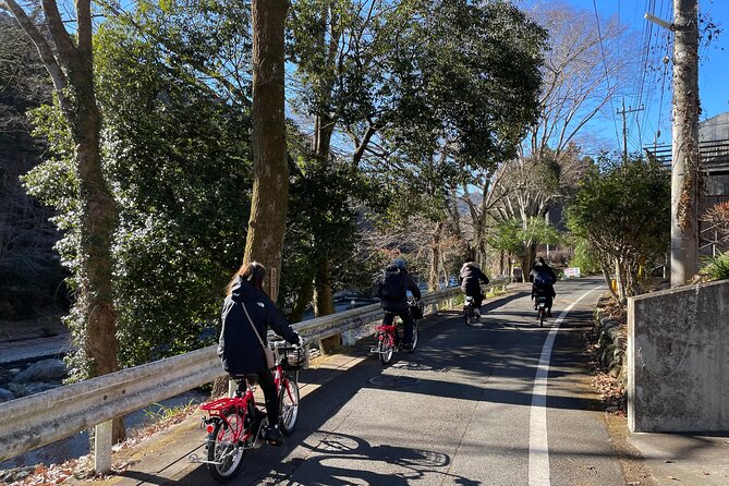 1 Day Tokyo Backcountry Okutama With E-Bike - Cycling Through the Scenic Landscapes