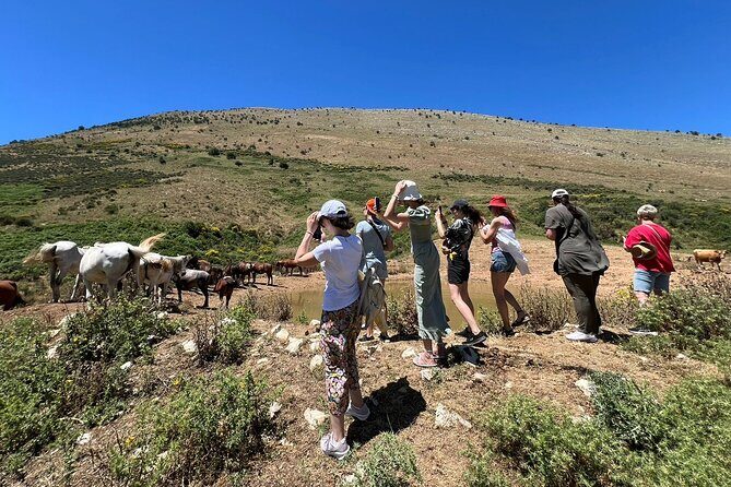 1-Day Tour in Blue Eye, Monastery, Gjirokaster and Lekursi Castle - Stepping Back in Time at Gjirokaster Castle