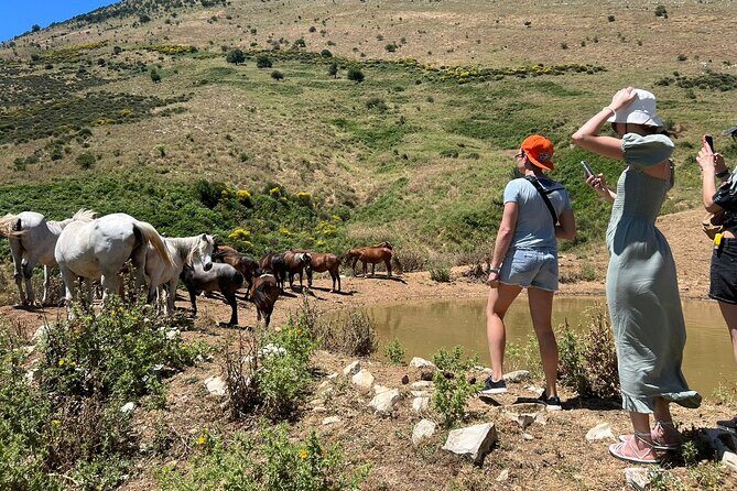 1-Day Tour in Blue Eye, Monastery, Gjirokaster and Lekursi Castle - Final Thoughts