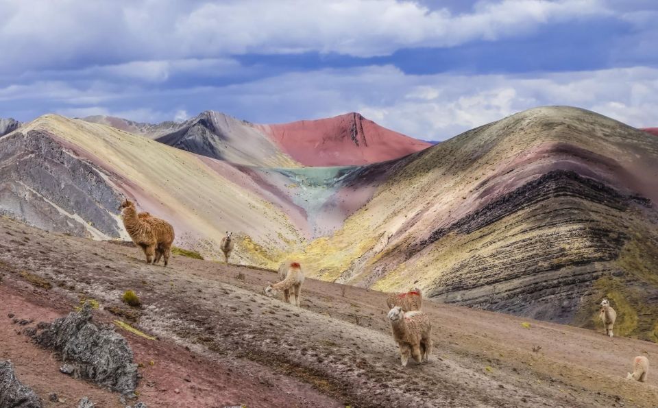 1 Day Trek to Palccoyo Rainbow Mountain - Key Points