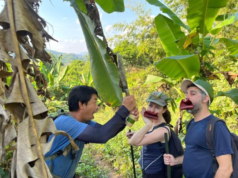 1 Day Trekking in Chiang Rai Forest (Walk Only) - Itinerary Highlights