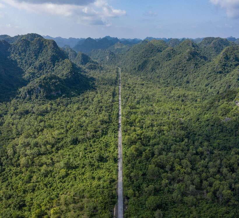 1 Day Trekking,Biking Explore Cat Ba National Park, Viet Hai - Transportation and Inclusions
