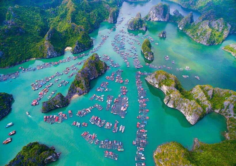 1 Day Trekking,Biking Explore Cat Ba National Park, Viet Hai - What to Bring for the Trekking and Biking Experience
