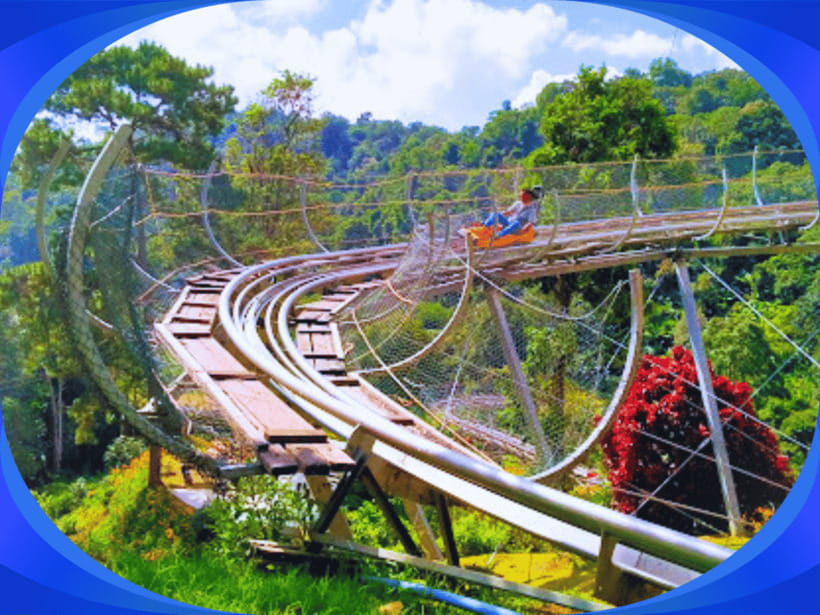 1-Day Trip: Chiang Mai to Mon Jam Adventure. - Trip Overview