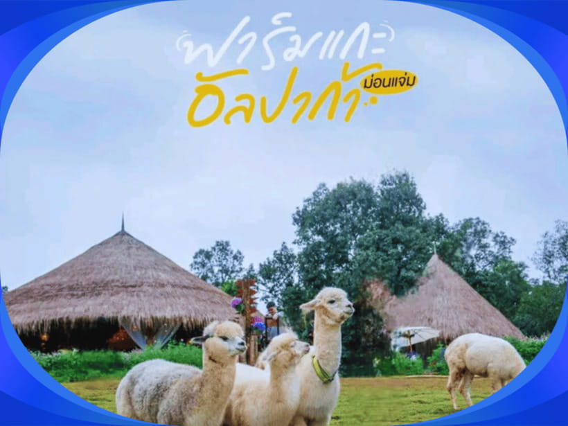1-Day Trip: Chiang Mai to Mon Jam Adventure. - Included Services