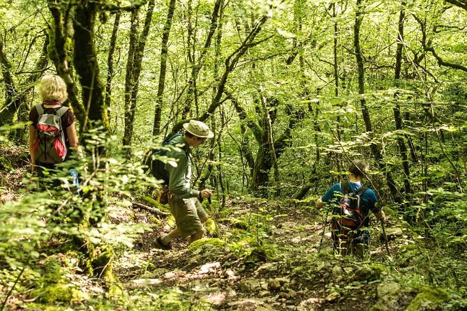 1 Day Vikos Gorge Crossing - Participant Experiences