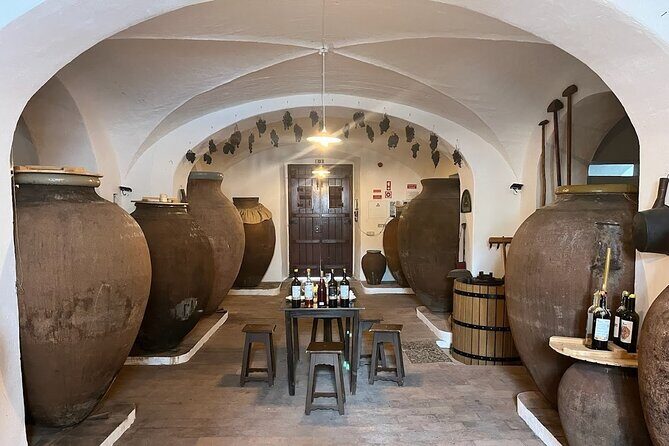 1 Day Wine Tour Around Évora - An In-Depth Look at the Experience