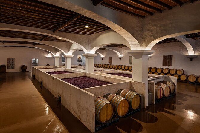 1 Day Wine Tour Around Évora - Who Is This Tour Perfect For?