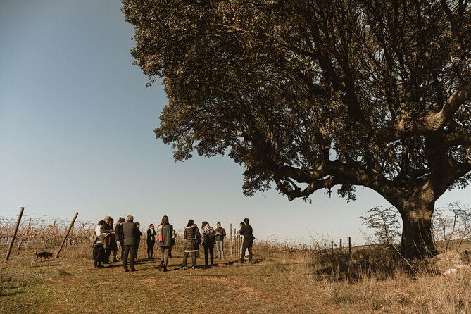 1 Day Wine Tour Around Évora - Frequently Asked Questions