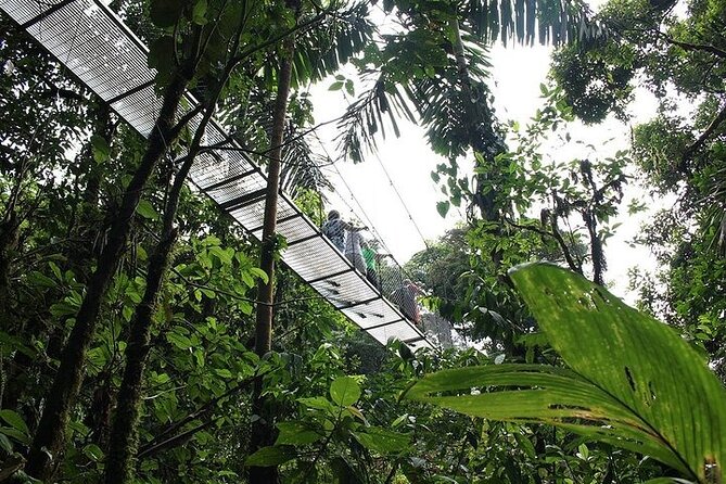1 Full Private Tour To Arenal Volcano + Baldi Hot Springs - Tour Overview