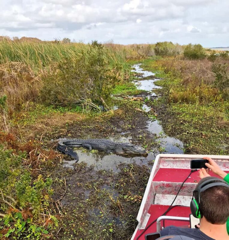 1 Hour Airboat Everglade Tour - Pricing and Value