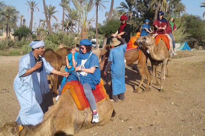 1-Hour Camel Ride in La Palmeraie Marrakech With Hotel Pick up - Pickup and Drop-off Details