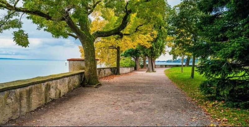 1-hour city tour in Lindau in French or Arabic - Key Points
