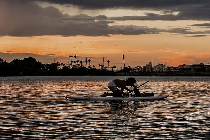 1-Hour Condado Lagoon Paddleboard Rental in San Juan - FAQ