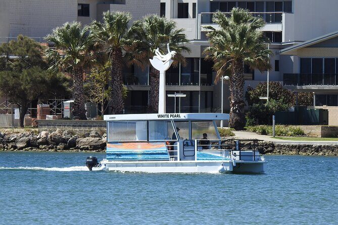 1 Hour Deluxe Scenic Dolphin Cruise - Key Points