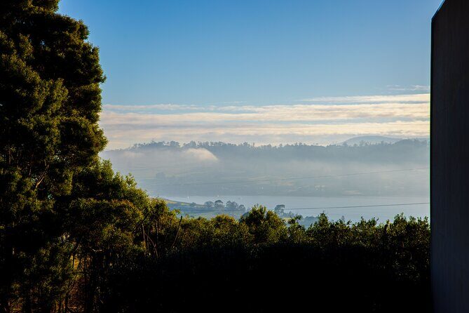 1 Hour Distillery Tour & Tasting in Turner Stillhouse - Final Thoughts