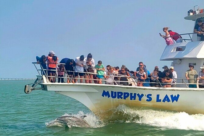 1 Hour Dolphin Dash - Who Is This Tour Best For?