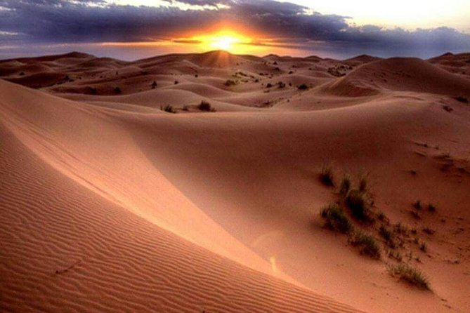 1-Hour Dune Buggy Self-Drive, Camel Ride & Sandboarding Adventure - Transportation Details
